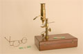 Microscope 59, 1850-1880